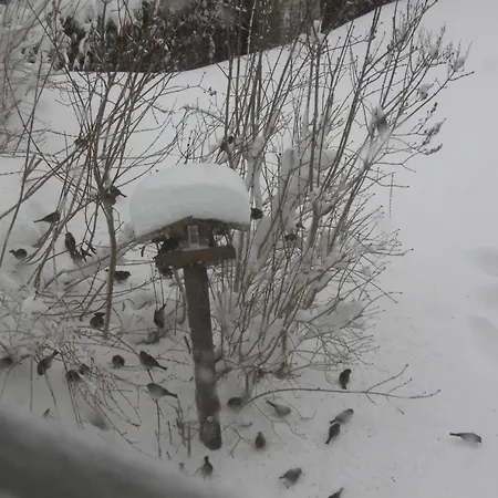 豪斯克林格酒店