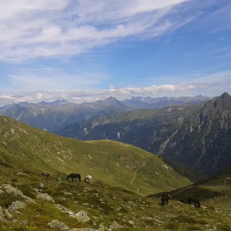 豪斯克林格酒店 公寓 加舒恩