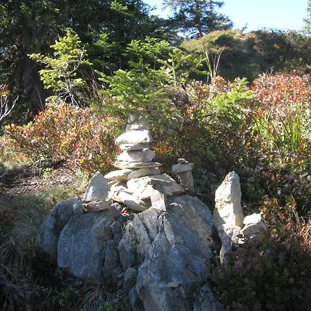 公寓 豪斯克林格酒店 *